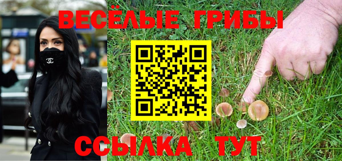 Псилоцибиновые грибы Cubensis  Вход с VPN  Муром 
